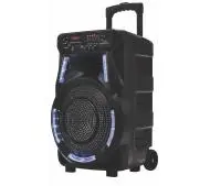 Manta SPK5033 40W Bluetooth Radio FM Mikrofon Karaoke Czarny