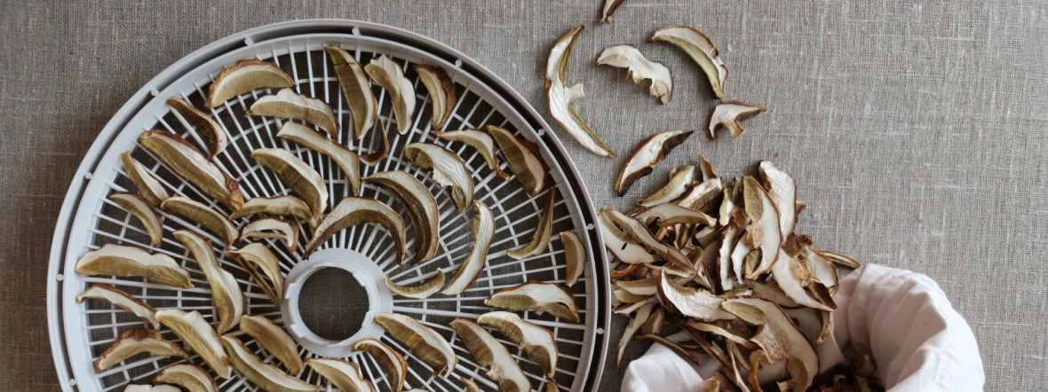 Jaką suszarkę do grzybów wybrać? Ranking najlepszych i niedrogich modeli