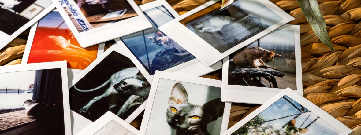 Ranking drukarek do zdjęć z telefonu &ndash; najlepsze modele