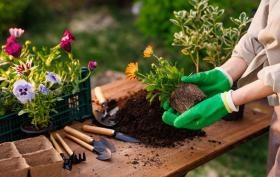 Wiosenne prace w ogrodzie &ndash; jak rozpocząć nowy sezon?