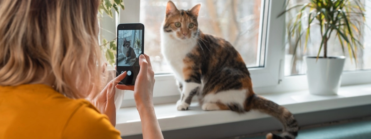 Telefony z dobrym aparatem do 1500 zł – ranking 2025