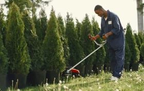 Jak nawinąć żyłkę do podkaszarki?