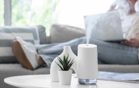 Jaki nawilżacz ewaporacyjny wybrać? Ranking