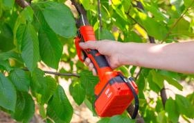 Najlepsze sekatory akumulatorowe &ndash; ranking 2026