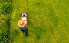 Pierwsze koszenie trawy po zimie &ndash; kiedy i jak to zrobić?