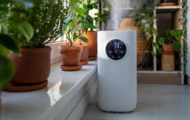 Suche powietrze w domu &ndash; co zrobić i jak zwiększyć wilgotność