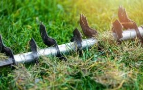 Co daje wertykulacja trawnika i kiedy ją wykonać?