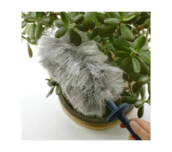 Electrolux KIT04N Easy Clean