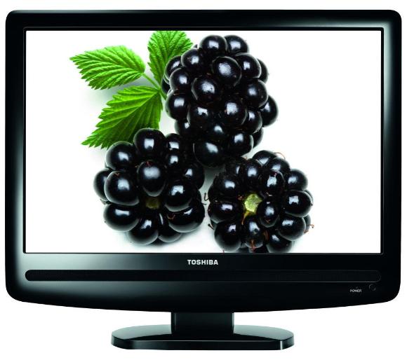 Toshiba 19AV500PG - Opinie, Cena
