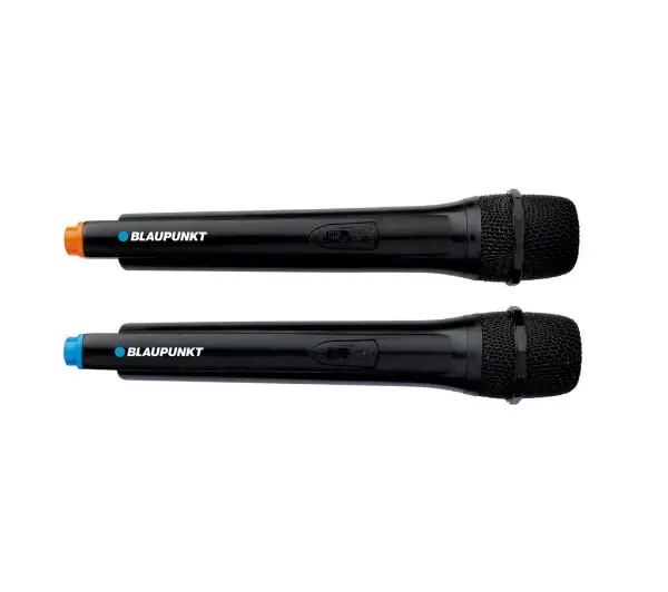 Blaupunkt PartyBox PB12DB 140W Bluetooth Radio FM Mikrofon Karaoke Czarny - Kup na Raty - RRSO 0%
