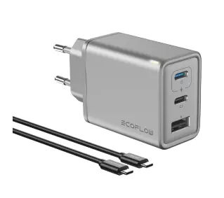 EcoFlow GaN RAPID 65W