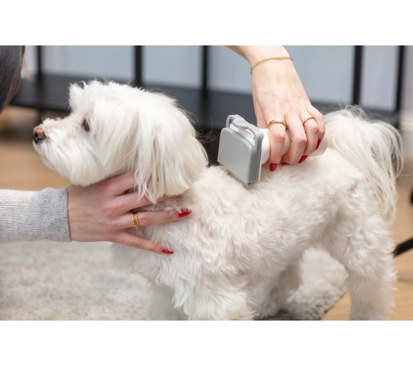 MPM MOD-1000 300W Zestaw do pielęgnacji zwierząt - Kup na Raty - RRSO 0%