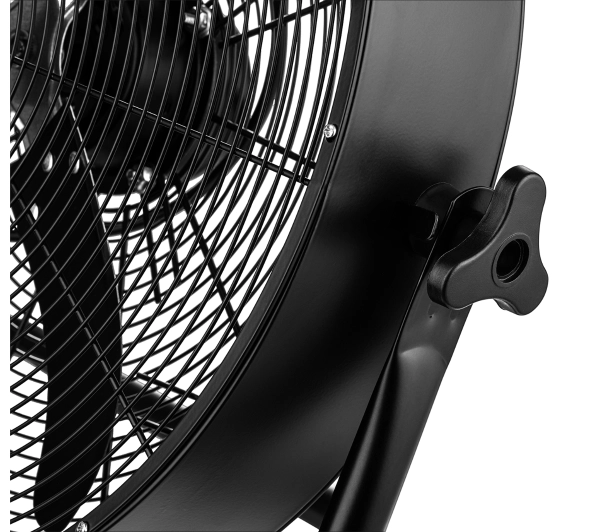 Raven ECP007 - TRZECI -55%, ALBO 5-TY ZA 1ZŁ