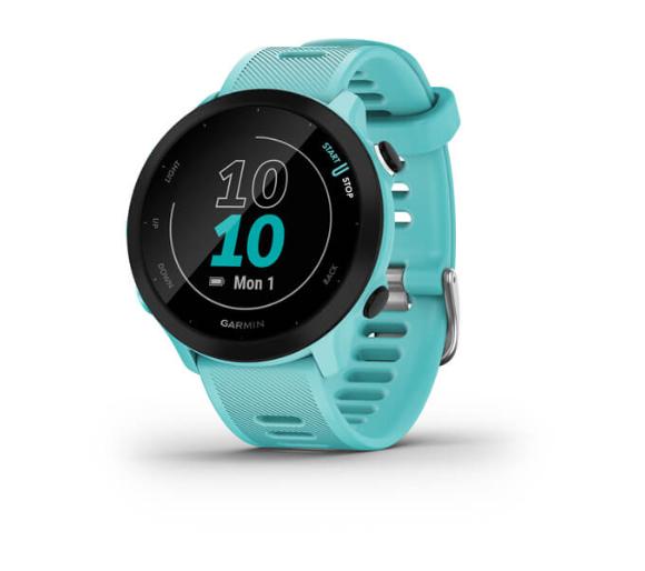 Smartwatch Garmin Forerunner 55 GPS (niebieski)