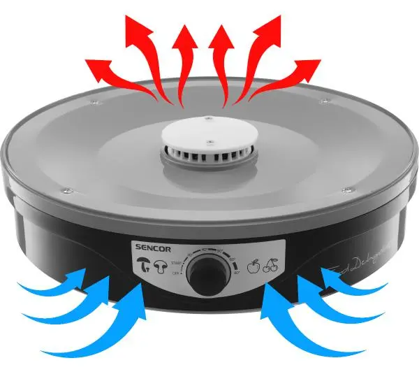 Sencor SFD 3109BK 250W 9 sit