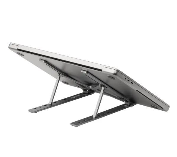 Reinston EPCH02 Szary Składana Regulowana do 15,6 cala Pokrowiec w zestawie 