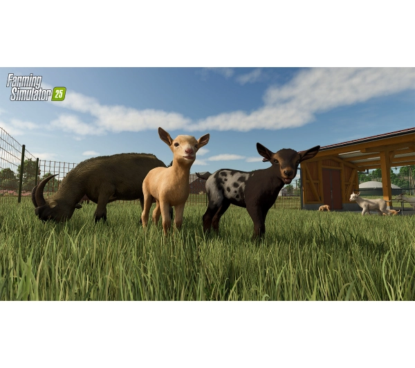 Farming Simulator 25 Gra na PC