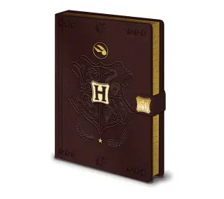 Pyramid SR72883 A5 Premium Harry Potter Quidditch