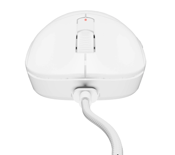 Fury Tanto T4 Biały