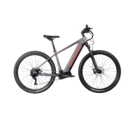 Bottecchia BE33 TEASER