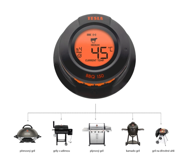 Tesla Cook BBQ 150 