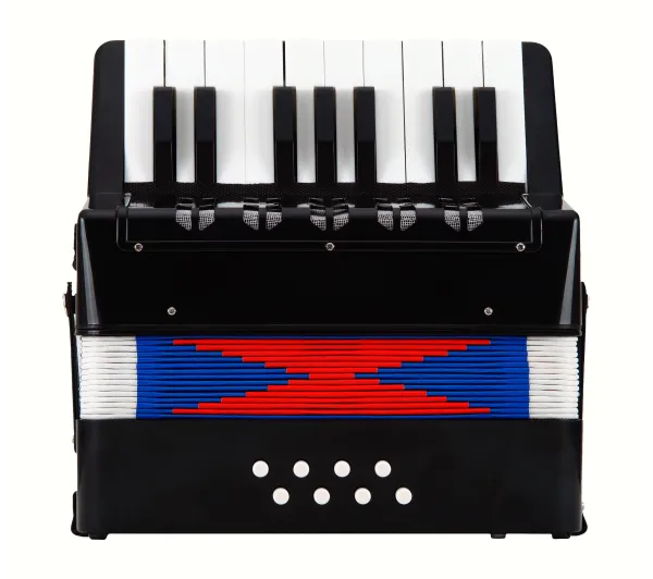 Musicmate Akordeon MM-AD27 TinyTunes Czarny