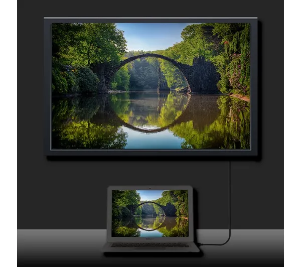 Qoltec V1.3 50465 1m Czarny