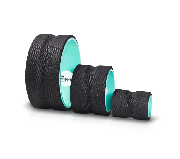 Chirp Wheel+ 4" 6" 10"