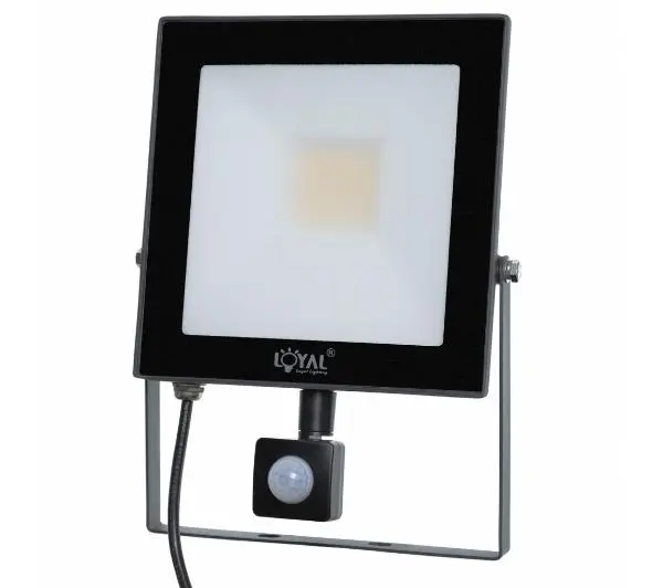 Loyal Lighting LY-FLES30 (S) 4250lm