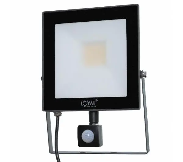 Loyal Lighting LY-FLES30 (S) 4250lm
