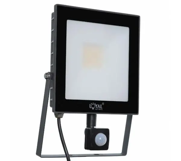Loyal Lighting LY-FLES30 (S) 4250lm