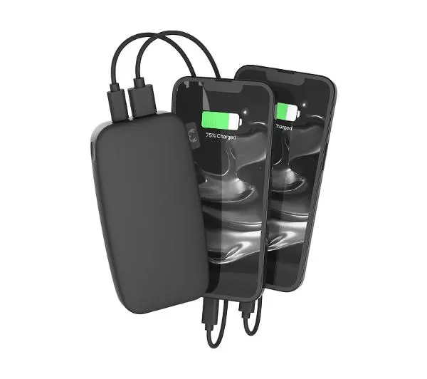 Fresh 'n Rebel 2PB12100SG 12000mah 20W Storm grey