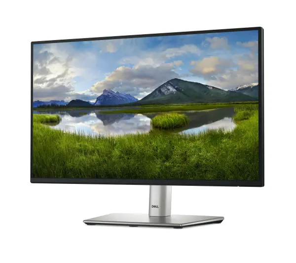 Dell P2225H 21,5" Full HD IPS 100Hz 5ms - Kup na Raty - RRSO 0%