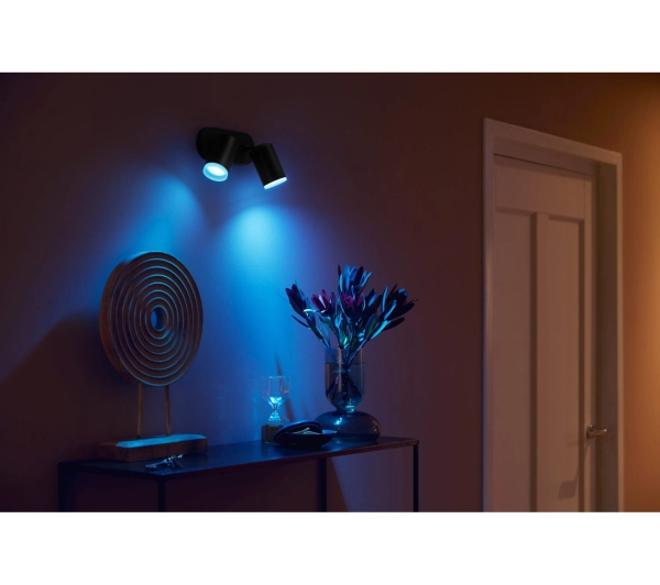 Philips Hue White and Color Ambiance Podwójne Fugato Czarny - Kup na Raty - RRSO 0%