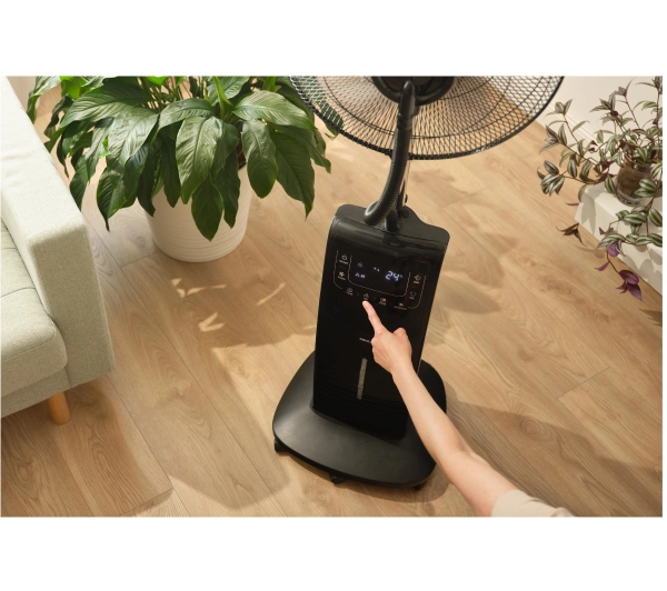 Sencor SFN 1054BK - Kup na Raty - RRSO 0%