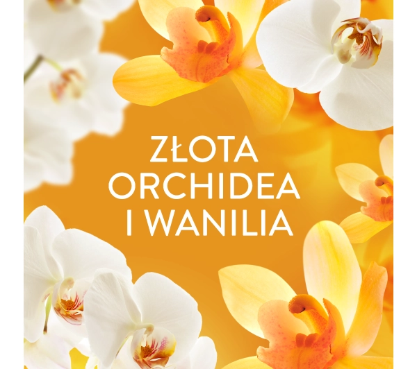 Lenor Orchid & Vanilla 59 prań 1,239l