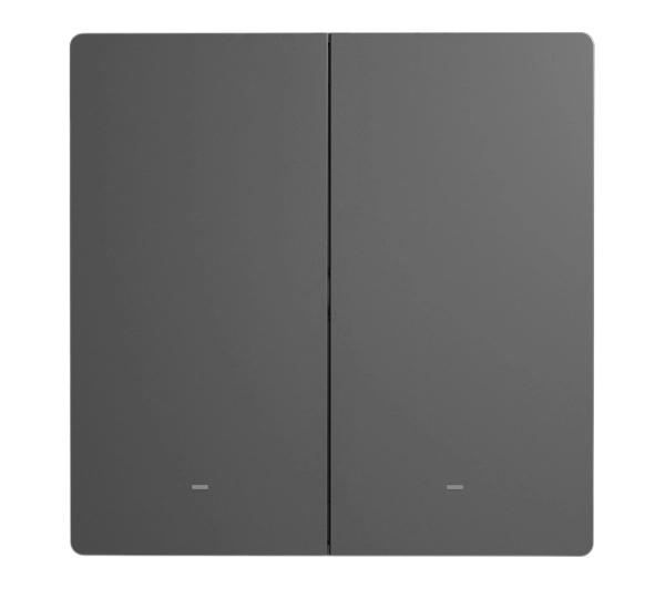 Sonoff M5 2C 2-kanałowy Szary 