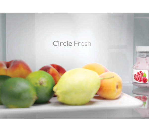 Candy CNCQ2T620CB Fresco 300 No Frost 205cm Inox - Kup na Raty - RRSO 0%