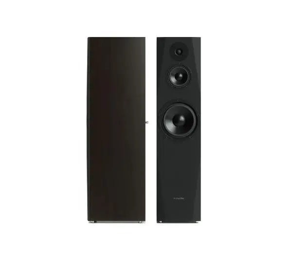 Pylon Audio Sapphire 31 Wenge 2szt.