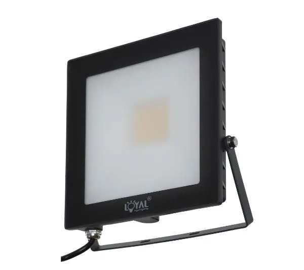 Loyal Lighting LY-FLE30 4250lm