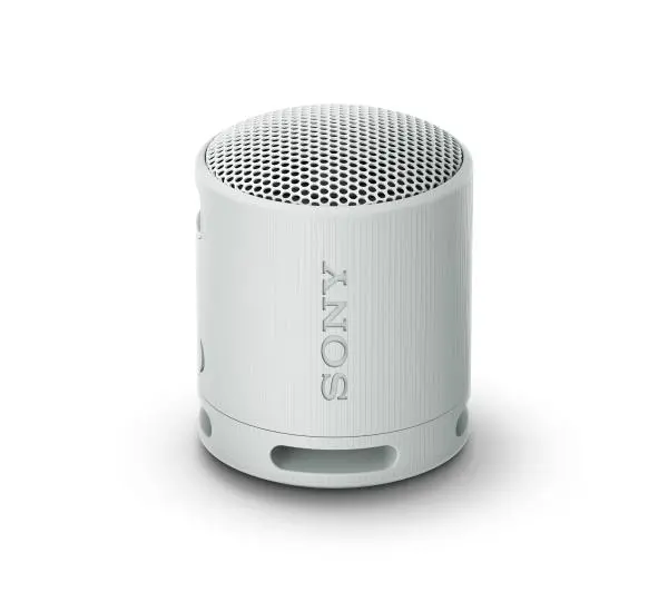 Sony SRS-XB100 5W Szary
