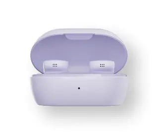 Bose QuietComfort Earbuds 2024 Dokanałowe Bluetooth 5.3 Fioletowy - Kup na Raty - RRSO 0%