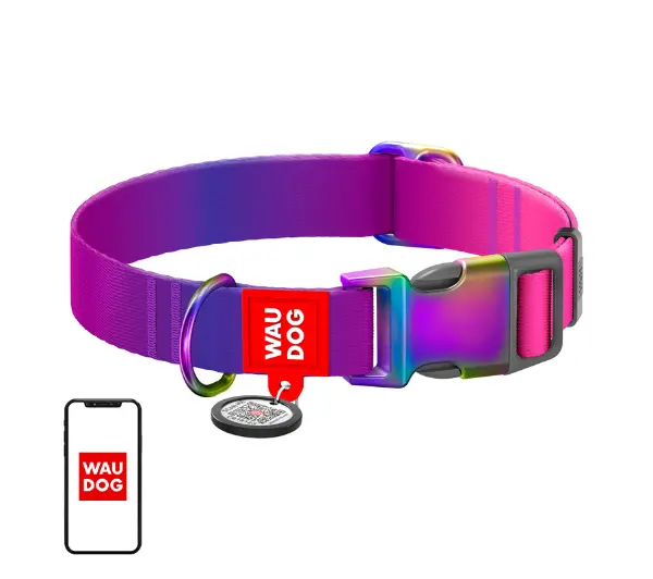 Waudog nylonowa z kodem QR rozmiar XL Gradient fioletowy