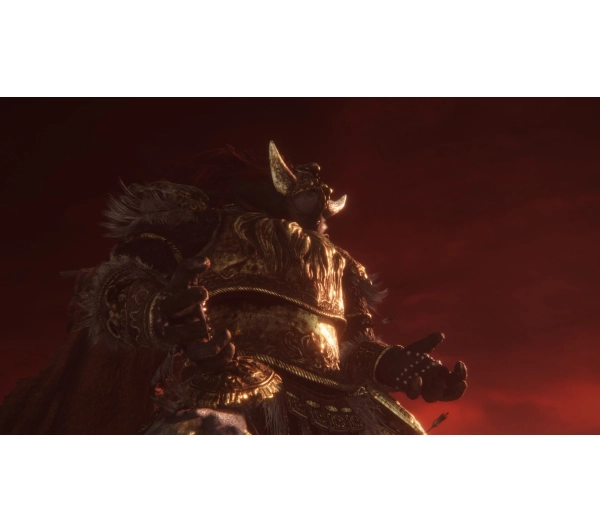 Elden Ring Tarnished Edition Edition Gra na Nintendo Switch 2