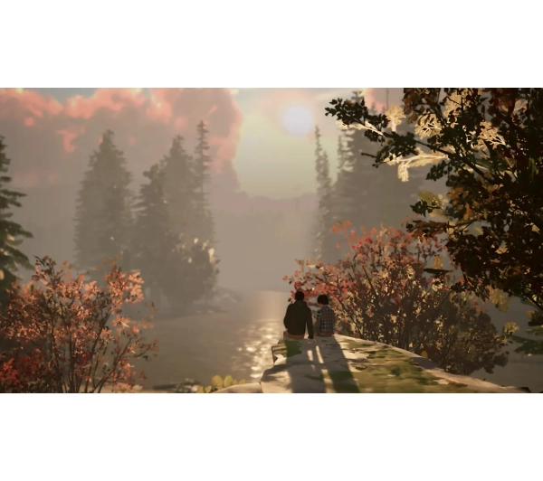 Life is Strange 2 Gra na Nintendo Switch