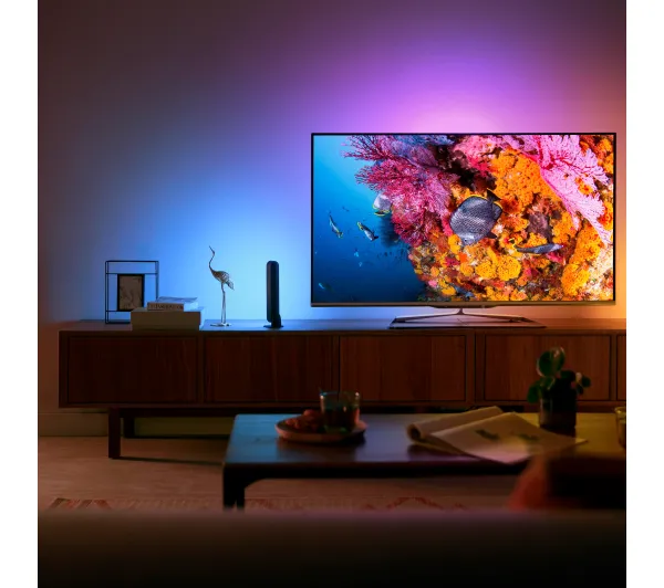 Philips Hue White and Colour Ambiance Play Czarny 2 szt. - Kup na Raty - RRSO 0%