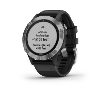 Smartwatch Garmin Fenix 6 (czarno-srebrny)