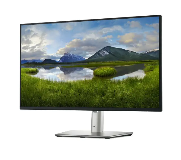 Dell P2425HE 23,8" Full HD IPS 100Hz 5ms - Kup na Raty - RRSO 0%