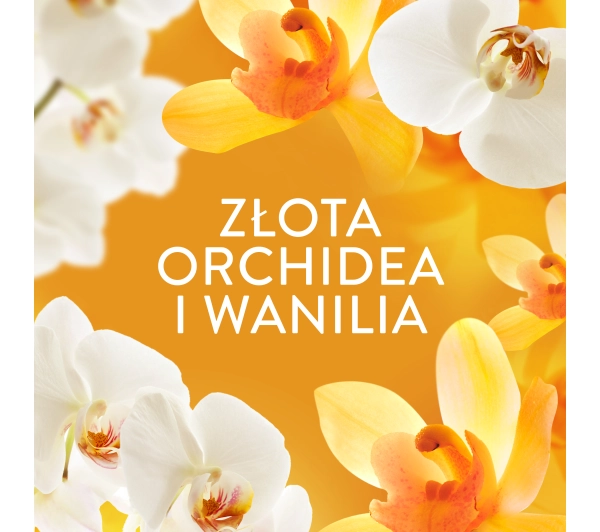 Lenor Perełki Gold Orchid & Vanilla 195g