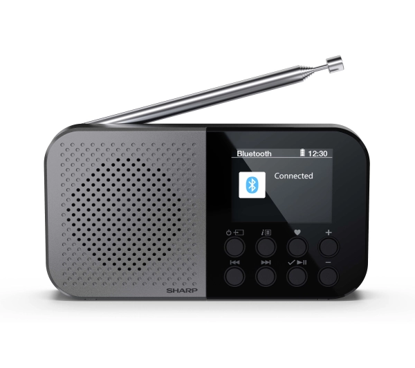 Sharp Osaka DR-P520(GY) Radio FM DAB+ Bluetooth Szary